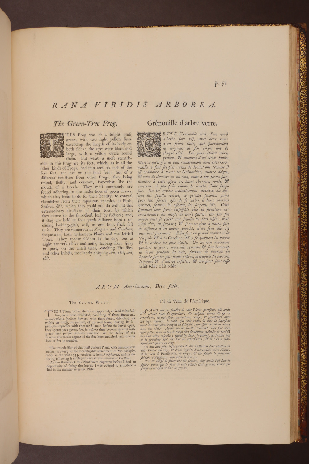 Page 71